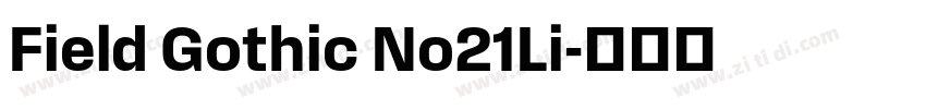 Field Gothic No21Li字体转换